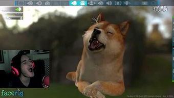 狼变成人的视频动漫,探寻神秘异世界的蜕变奥秘