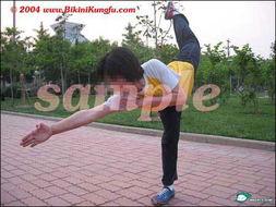 成人武校练武视频教程,跟随视频学武术，掌握硬核招式