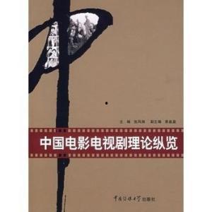 中国成人理论视频,视频深度解析与启示