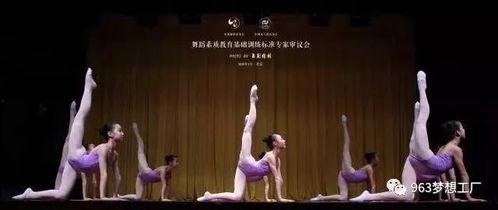 成人舞蹈心曲教学视频大全,成人舞蹈教学视频大全精华解析