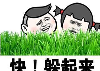 离家出走搞笑视频成人