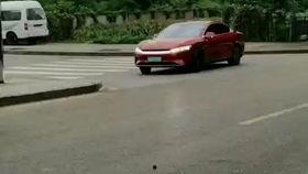 成人赛道创业最新视频