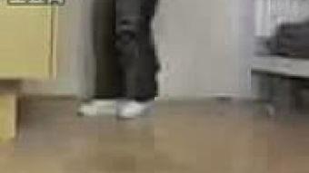 欧洲成人A 视频,内容、影响与反思