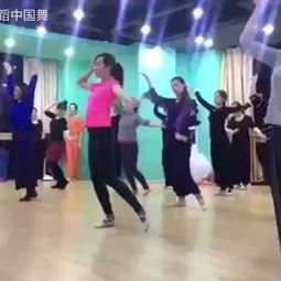 酷的舞蹈成人舞蹈视频,酷炫成人舞蹈视频精选回顾