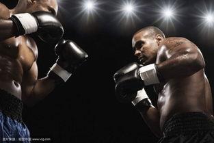 成人拳击木桩视频教学大全,视频教学大全精华汇总