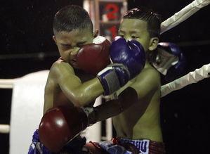 成人拳击木桩视频教学大全,视频教学大全精华汇总