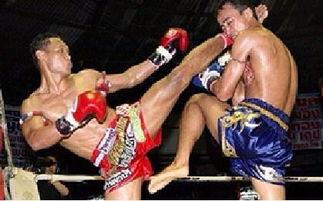 成人拳击木桩视频教学大全,视频教学大全精华汇总